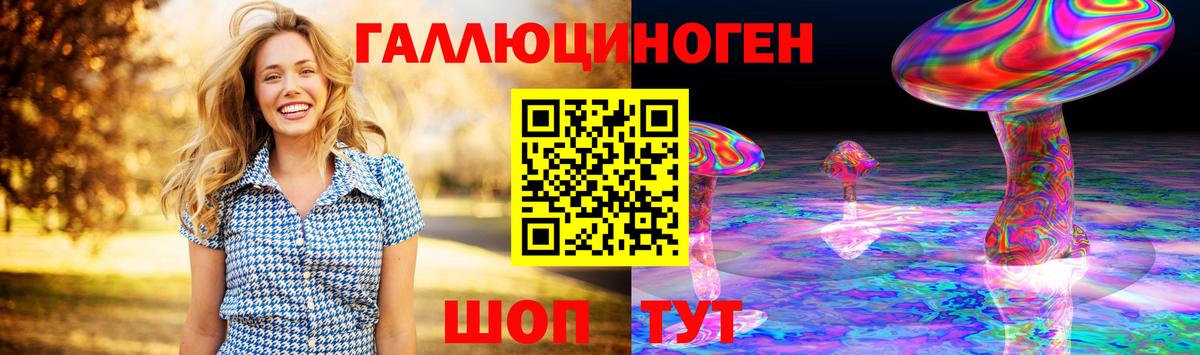 Галлюциногенные грибы Psilocybe  Вход с VPN  Химки 